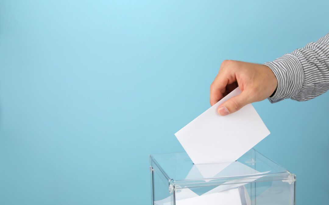 Elige Indiecalismo. Vota Cuadros Fine.